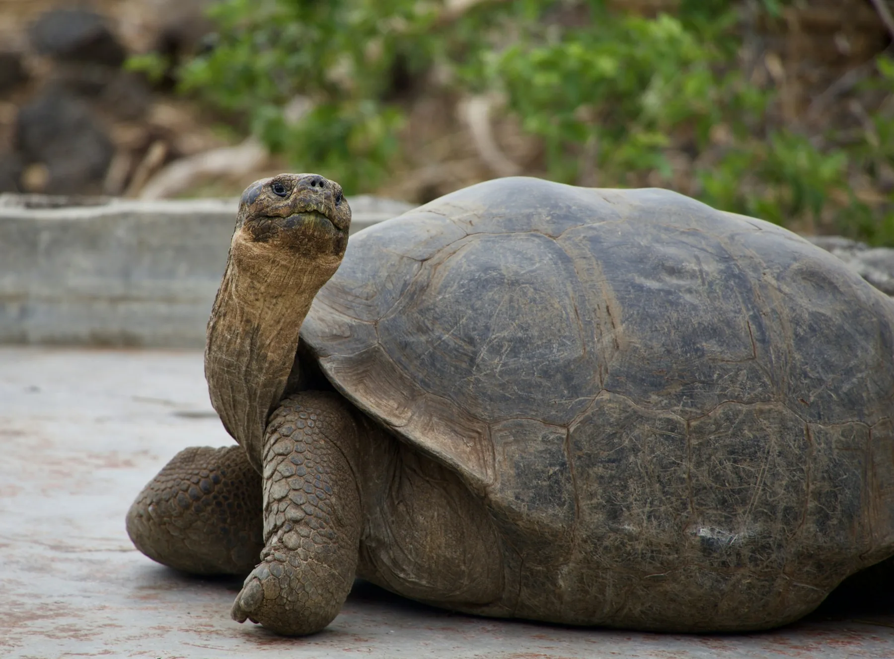 Galápagos tours